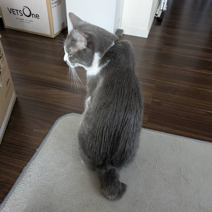 B81f249a 5514 4466 875f 15801d9ccb1a 1767061028881