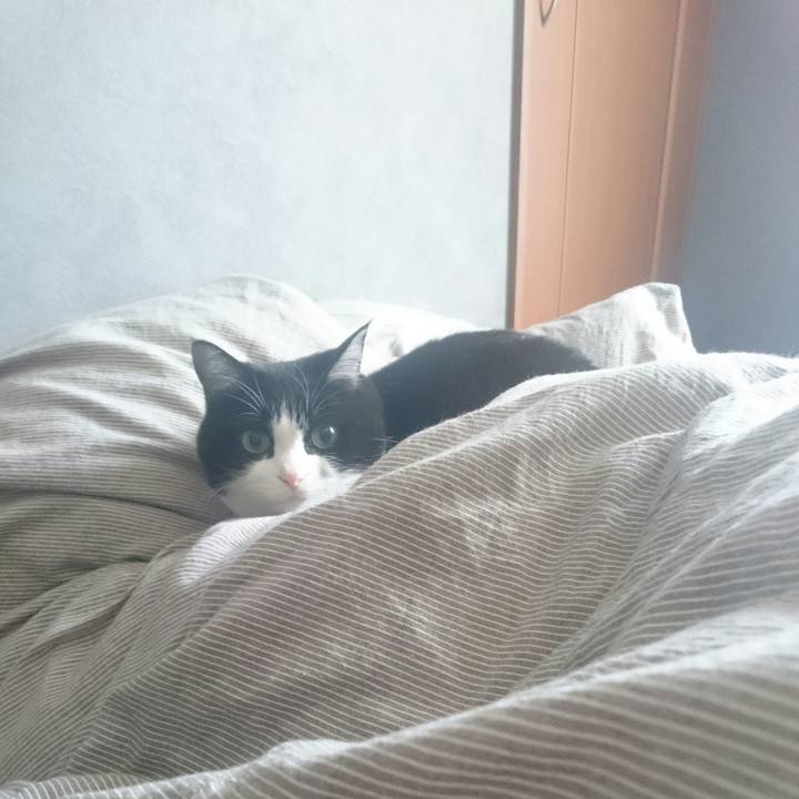 B81f9017 dd89 4c40 b0e8 c74bc95ed92e 1514426104429