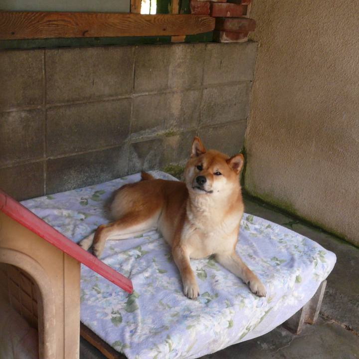 B81fb619 0ddc 499e a58c 495f45fb2b43 1625273915697