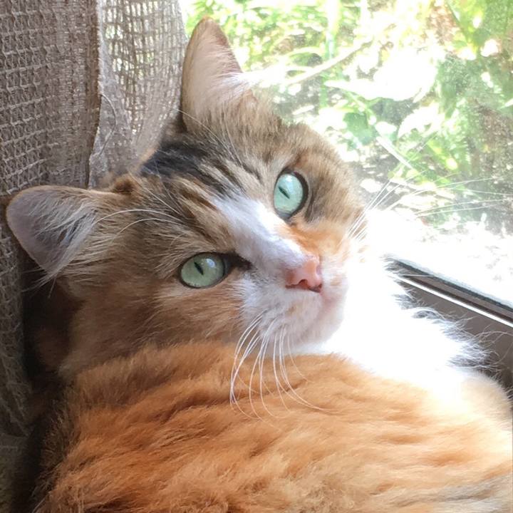 B81fb928 163c 4c46 a124 3300e42e64b8 1569467090840