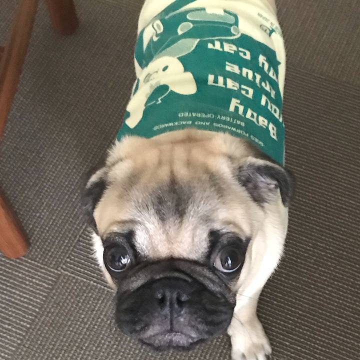 B81fc679 a501 46cc b6e2 9da29e4584d1 1539676532384