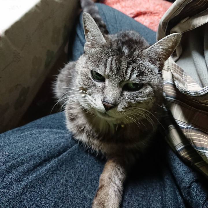 B81fe851 5b2a 48a6 a686 e90499af6aac 1583787773763