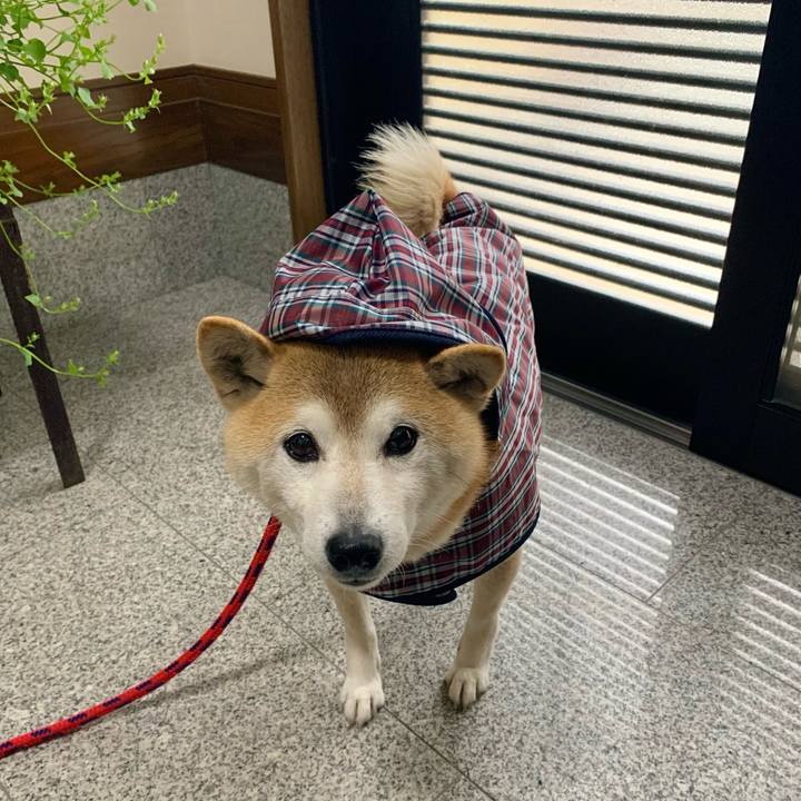 B8201723 31a7 4c34 ad1b fbc8b044c974 1684491220764