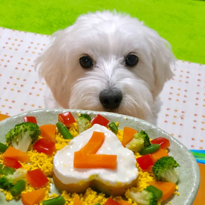 B8202248 e969 4a10 b988 4735c99f7ed0 1558009985156