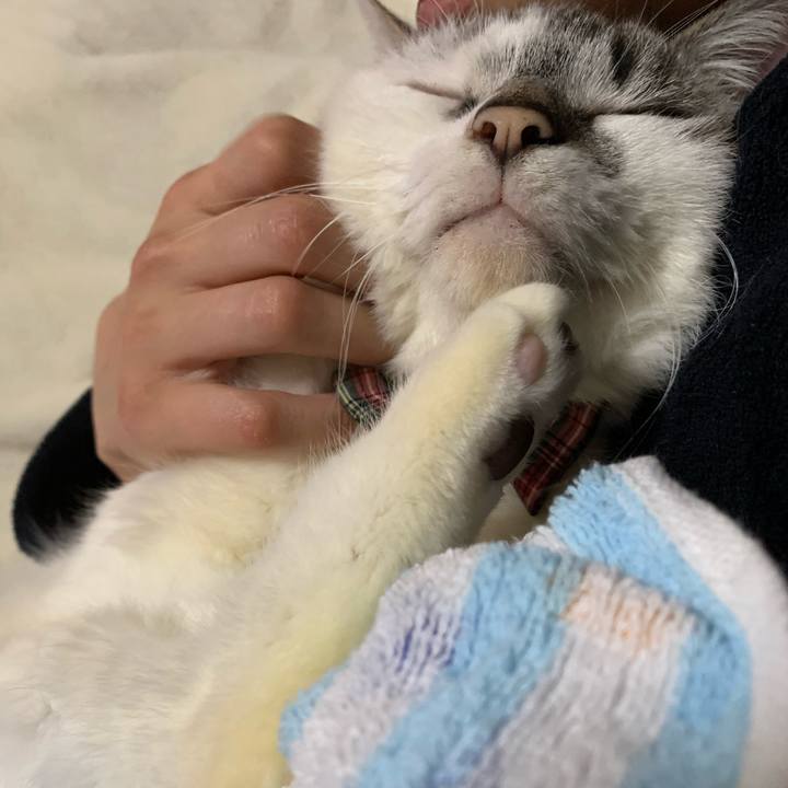 B820412e 776b 4d57 9b74 2ded602bdba3 1582845520889