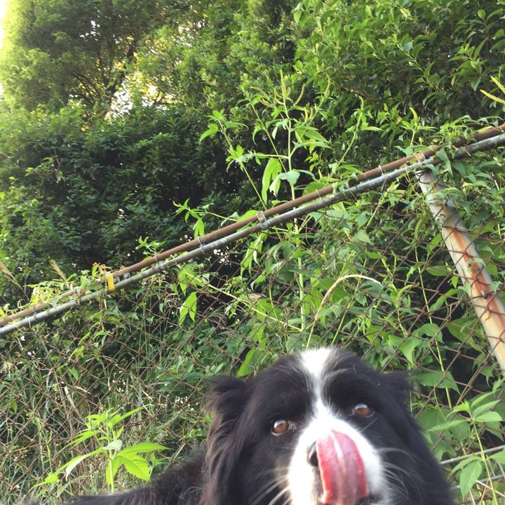 B8204f97 034f 42fe 8667 47eb82777d8e 1568502448136