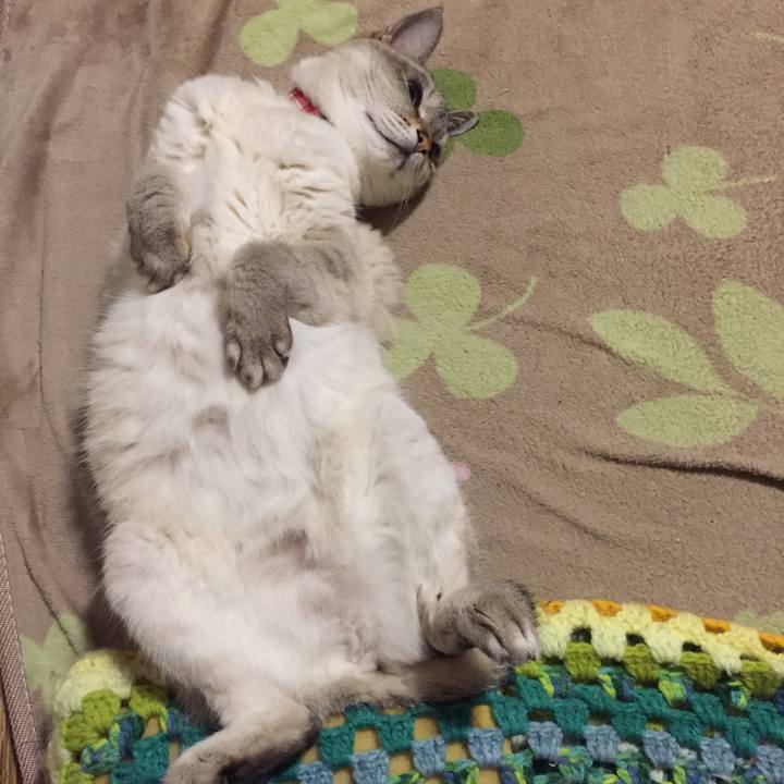 B82052e5 99b3 42ec afac 2e82f1f64432 1557400041723