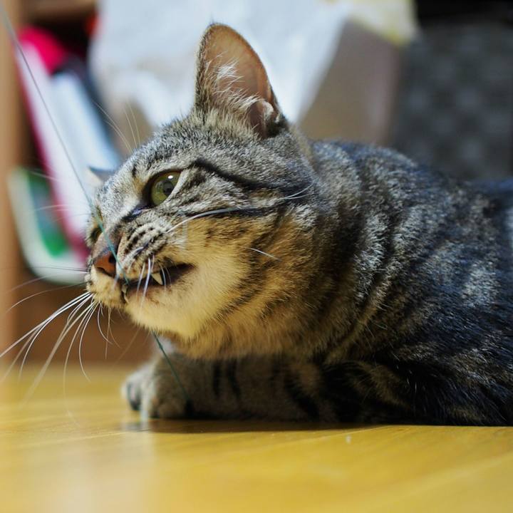 B82059e7 5df1 4143 8d2a 4e51e19f82d7 1535687334391