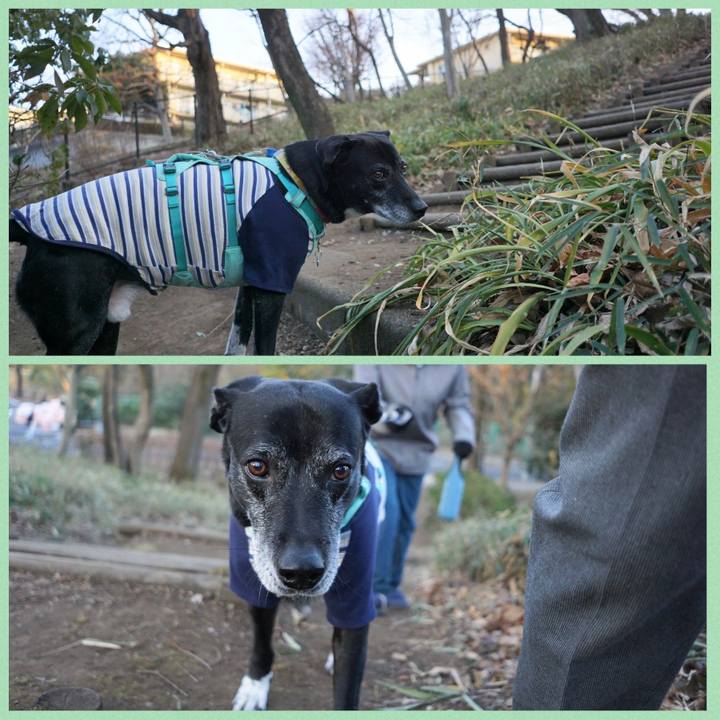 B8208009 4b45 4162 9f56 4b741cf5d37b 1769731647235