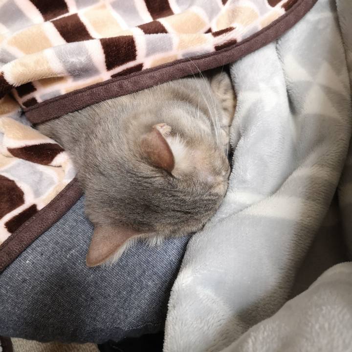 B8208ab8 e20b 4ca8 9533 00d157a5b69d 1586354412981