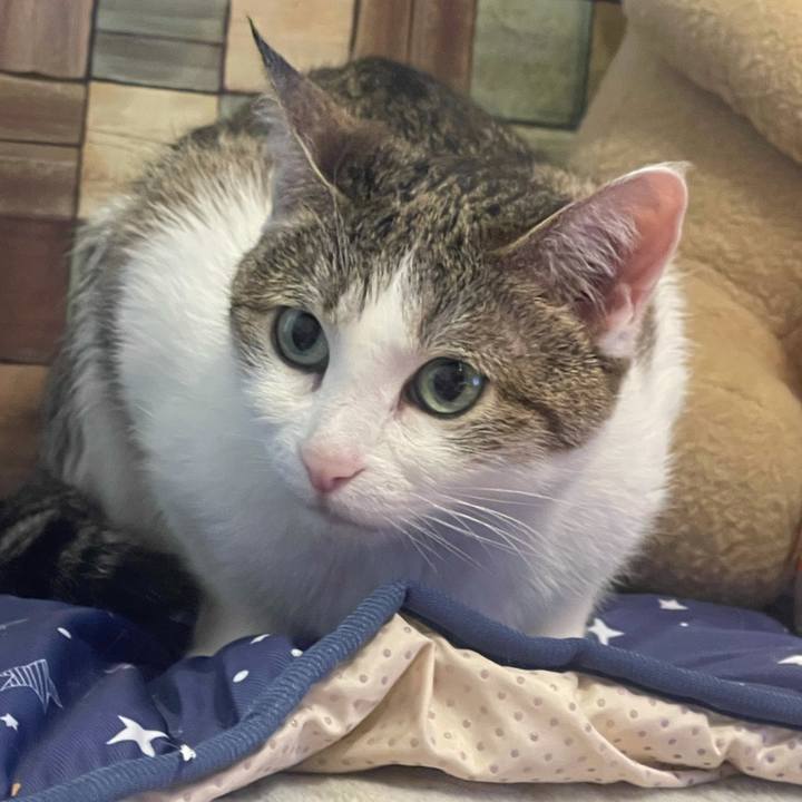 B82090a9 75ce 483b a89b 310f9c1cd0a3 1624275936803