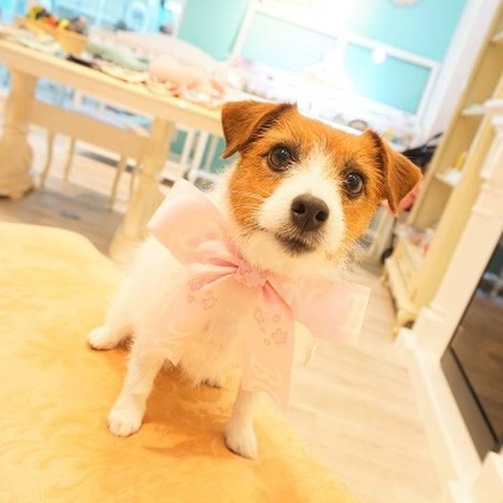 B820a0c1 0fa1 4b0f a8fb 187ab175febd 1554636566561