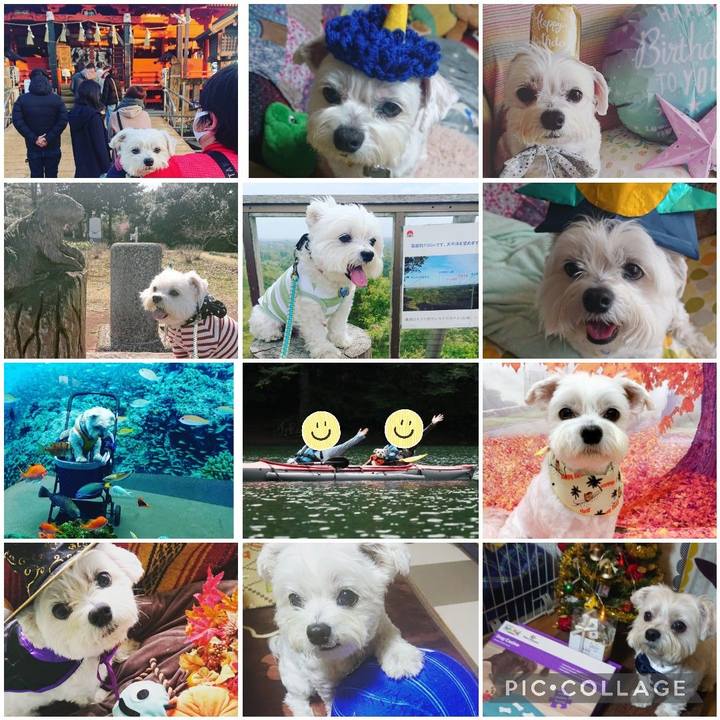 B821055c 60ef 4986 b920 b12d821b1c6d 1636288423509