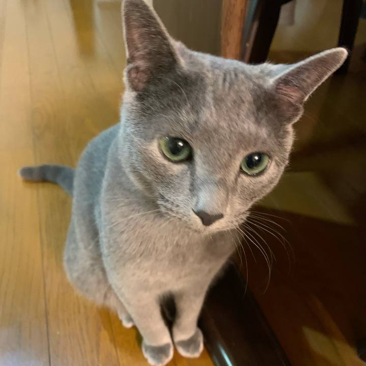 B821131a 4909 4213 8964 7b3095e6ef59 1581635581616