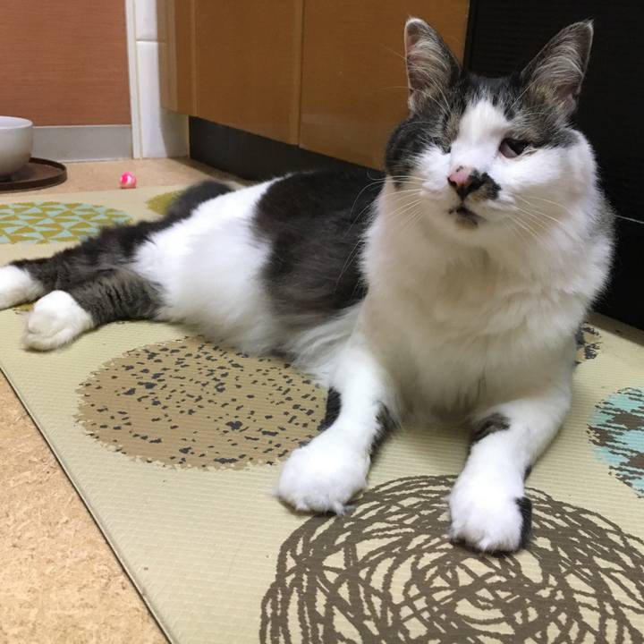 B82117e0 3879 4552 a387 9673be8c8437 1563607861955