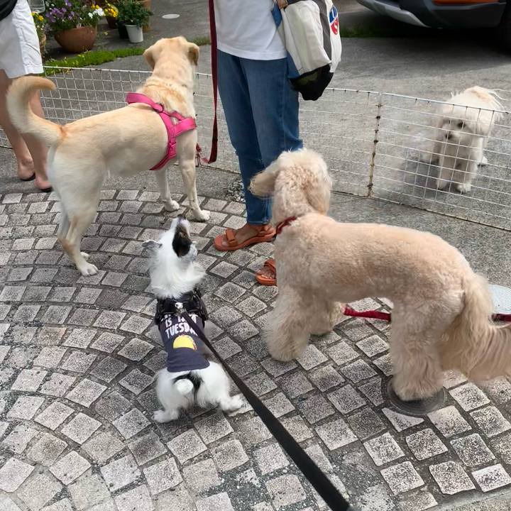 B8212ed2 5b7c 4c5b 9fe0 3eee6c13b9af 1747184288726