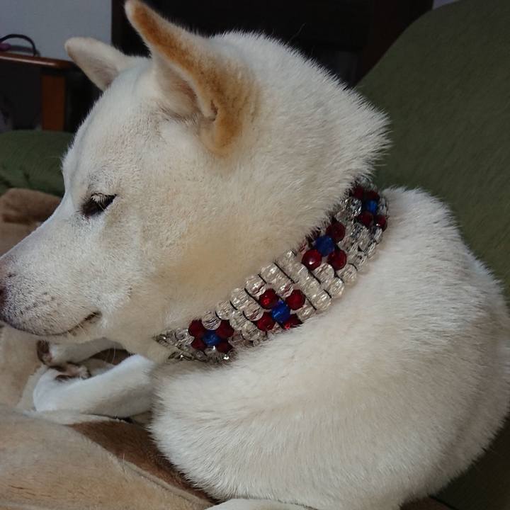 B821313d cf01 4a13 a669 b6ff260f1fac 1542114024545