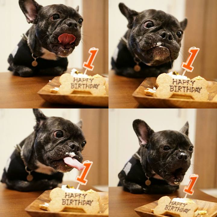 B821571f a880 4b05 a276 670e0e06b77a 1507550404426