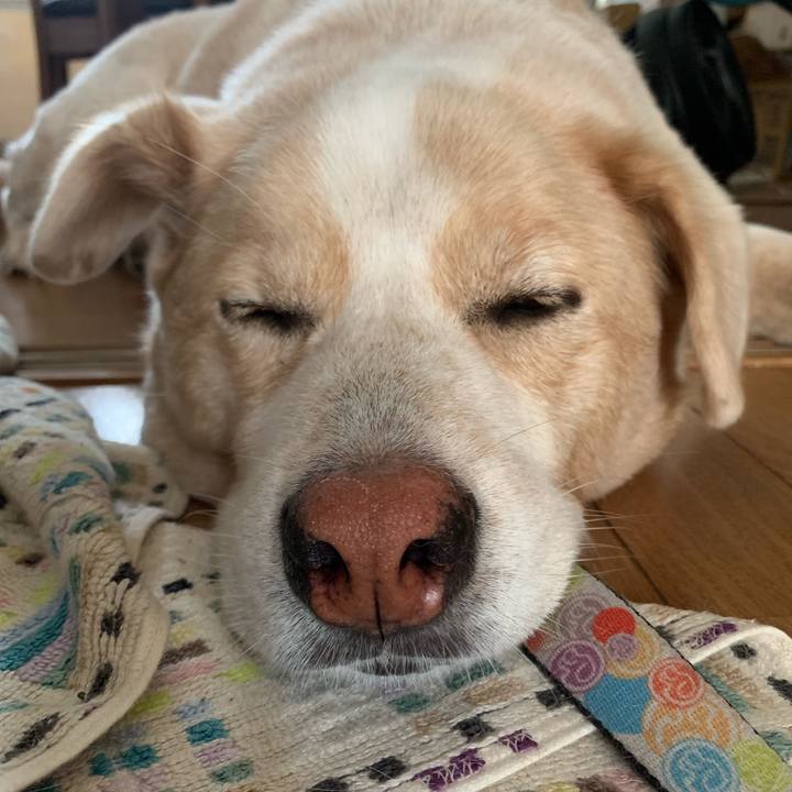 B8216ce9 dc6d 4d43 8ae0 4d3747d31f05 1569120648274