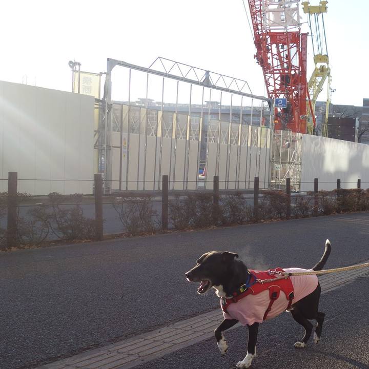 B8217b91 e7ff 4b12 b255 65e31a970660 1675646864988