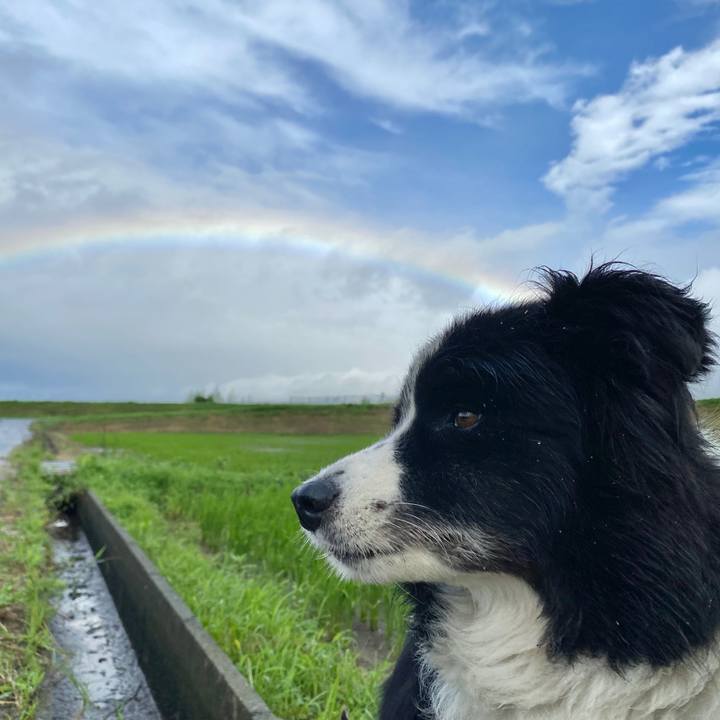 B8218400 c0c9 4218 88a5 97615c60a6b8 1595635154338