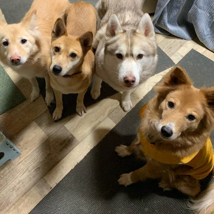 B8219a1e ecfd 4db9 bf05 98cb1ad9b892 1675565000053