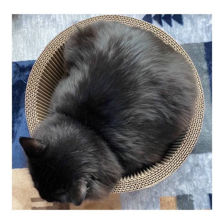 B821a457 57d1 4d2b ae9c 441d0d68be3d 1581512233569