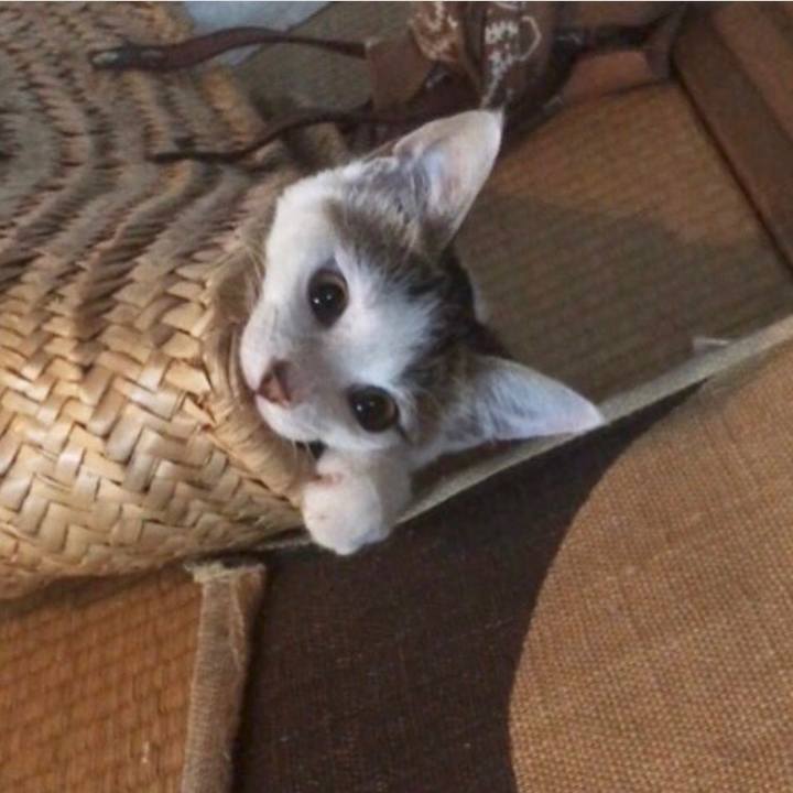 B821c20c 2d49 4fc7 b2b5 a3b030f09a86 1521525637585