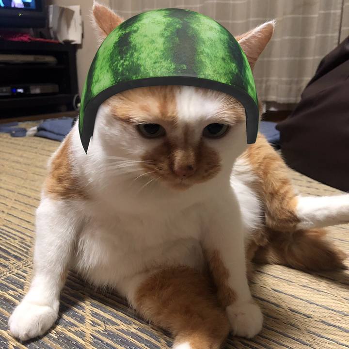 B821d807 a740 4440 a148 6f847a9f12f5 1571984954685