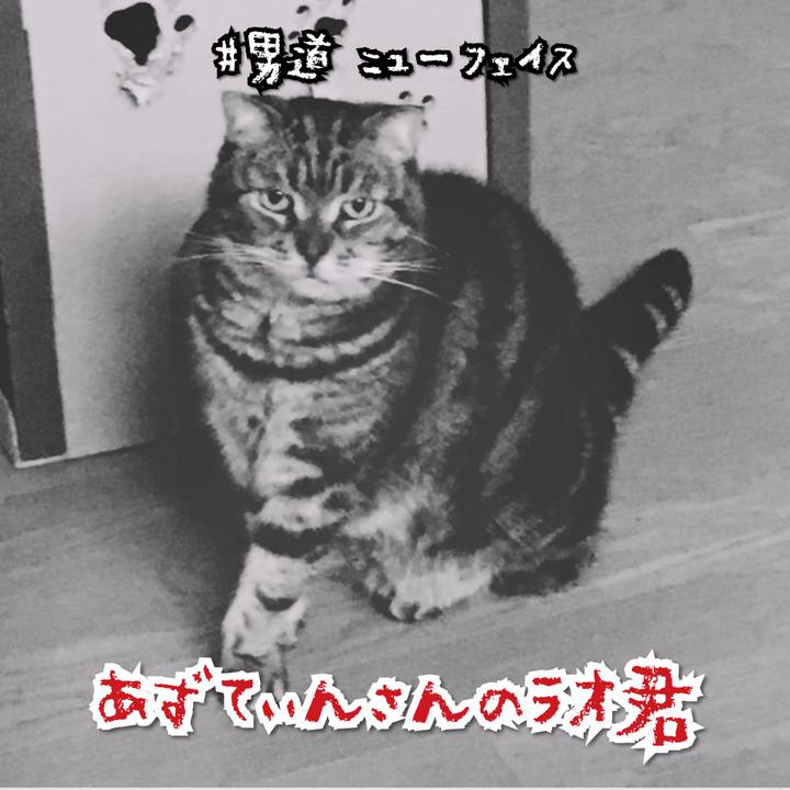 B821ec16 a7a4 441a a83f a75df2e9e201 1566383397954