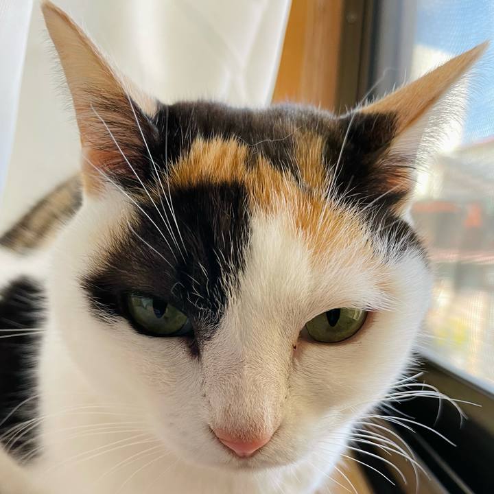 B821efbf 38f3 476b 8791 9afe71399027 1645837160529