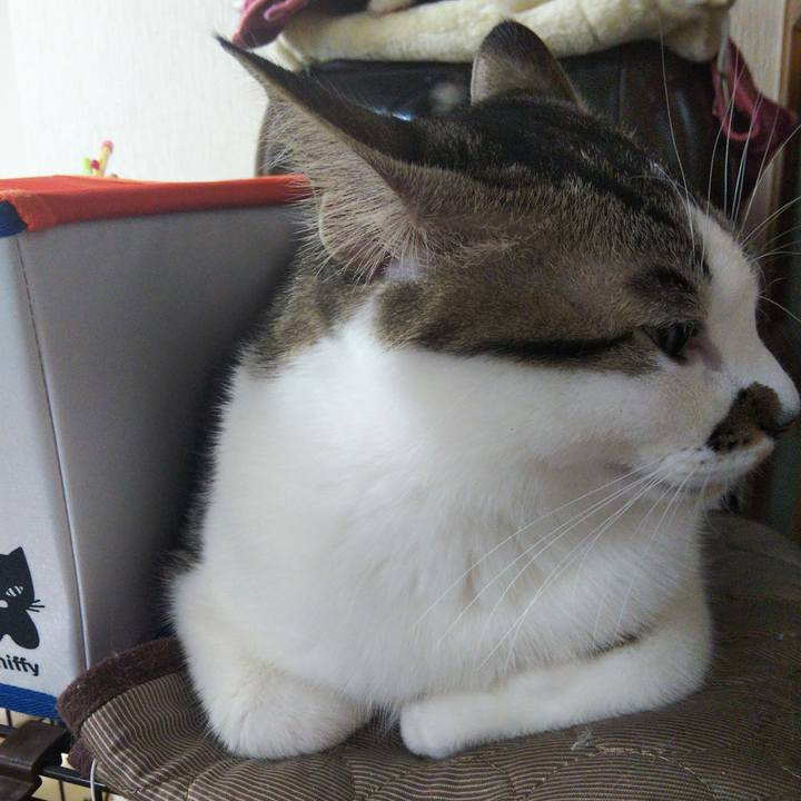 B821fa97 71cd 4f56 b419 445c39c2749b 1644145519317