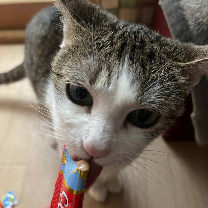 B8221970 7d06 4ab6 b6fb 063786c3c9d2 1625041111876