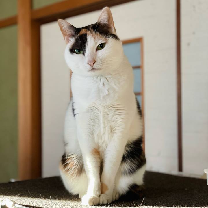 B822352d 72a7 4668 9fc4 59621bc79555 1642125363321