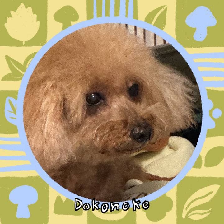 B8224ac0 3bab 47dc 843c f9d4800a2042 1761687387548