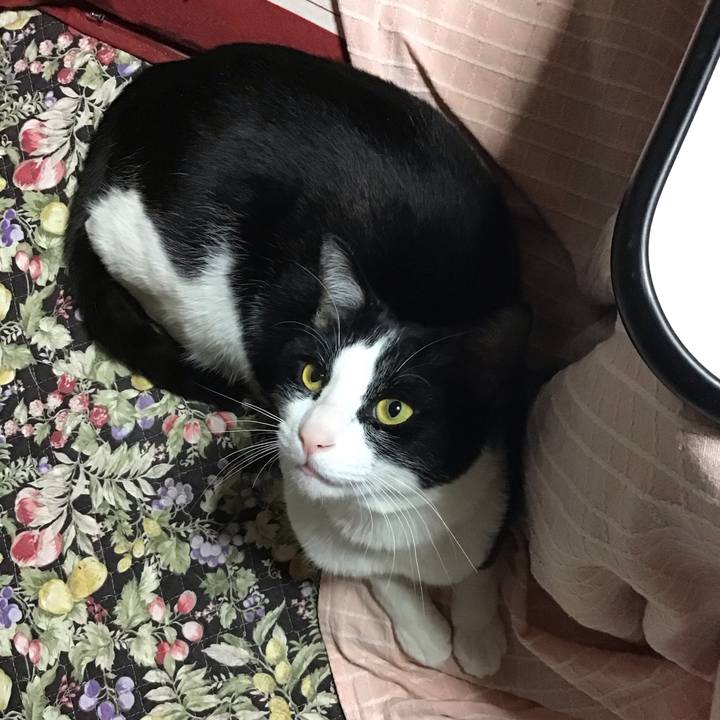 B82252d5 047e 48d6 98cb 4b0fc606d736 1681822211978