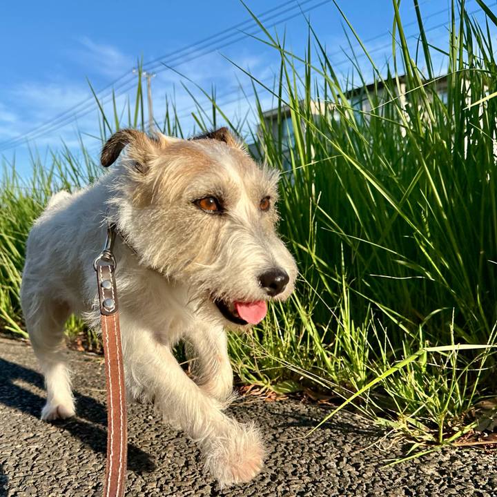 B8225dde 0968 4850 9cac 1b1d96daee8b 1758805039123