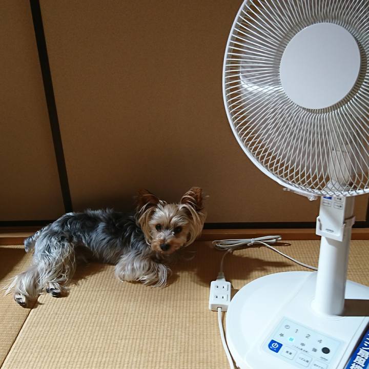 B82267a4 0fbb 44f8 9dd5 813536e8e2b8 1530576005091