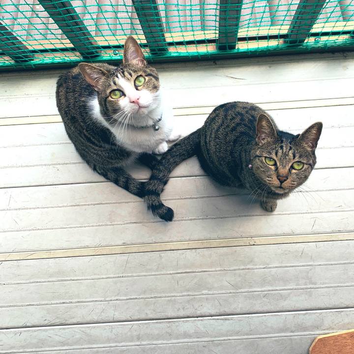 B8227c0c 233a 402f ab48 af6abd2e35bd 1557917653329