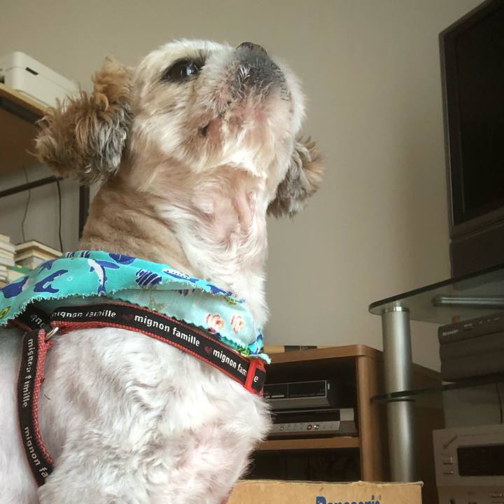 B8228196 e2d3 470e 9f47 1ab860446ff9 1597787724975