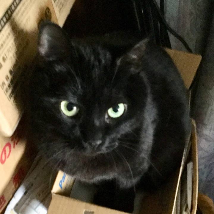 B822afb9 736b 4a48 95e3 2d1341dbeb16 1589691530076