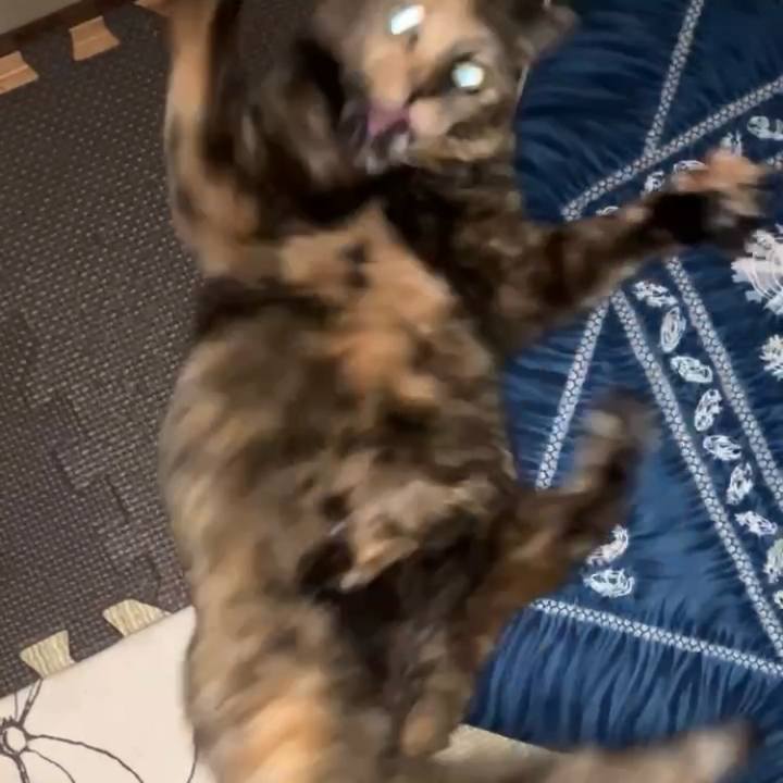 B822be2c 69f0 40d2 a999 0b408ce4261d 1737579052698