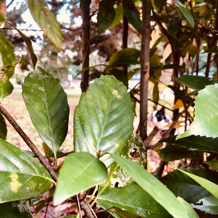 B8231a12 25c6 47cb b8a2 775966b4e683 1543027340680