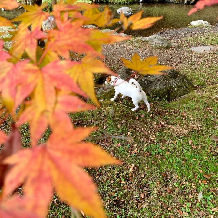 B8235e8a a50c 4e3c b3a1 1f9ac469e207 1604744653687