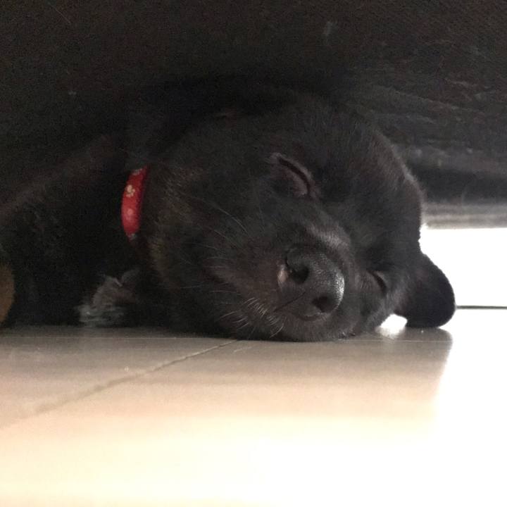 B82368a4 c929 4bbd b740 e6f6f9dbf827 1568201269059