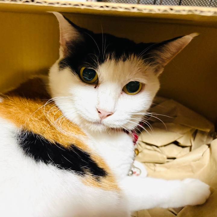 B8239afe b745 4d36 aedd 3c1cead773a7 1757428046729