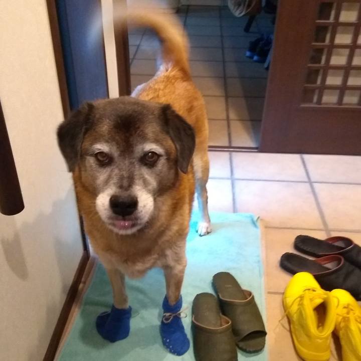 B8239efc 225e 4ef4 b3e8 57d4c5abe02b 1566203574036