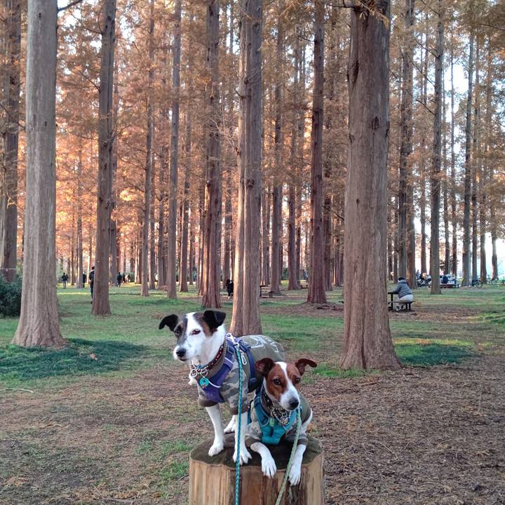 B823a052 93ee 4389 9014 7b1b2ff58855 1638604471141