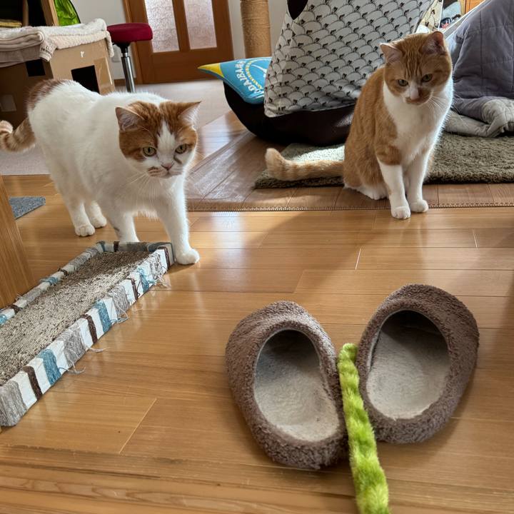 B823a1dd 78fc 4e88 ba1c 9b777e5dde9b 1771036235802