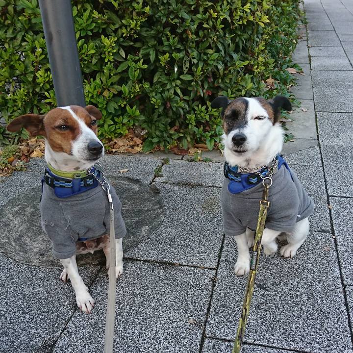 B823a1e5 3609 44c5 a4f0 5199ba64d6fb 1607296884067